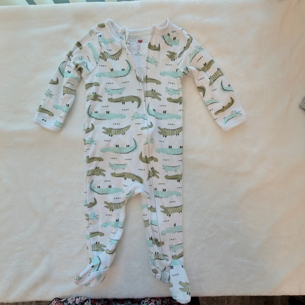 Carter's Baby Essentials Clothing Lot Boy 9M Blue Green Good Alligator Sport - Picture 12 of 16